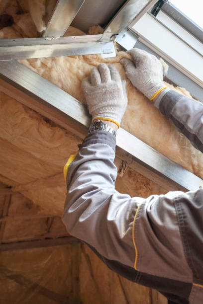Best Insulation Removal  in O, MI