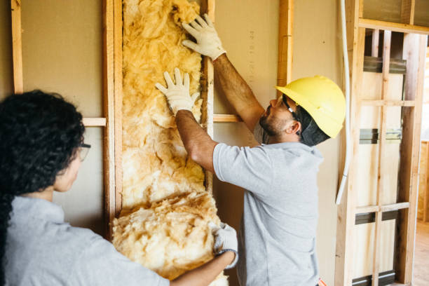Best Affordable Insulation Services  in O, MI