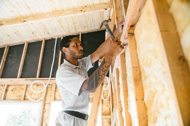Best Local Insulation Services  in O, MI