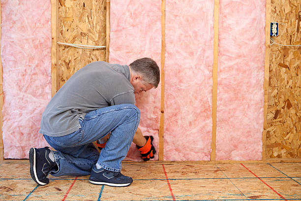 Best Insulation Contractor Near Me  in O, MI