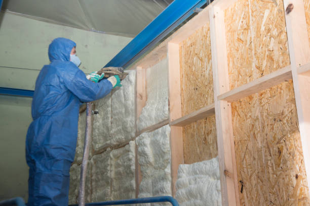 Best Insulation for New Construction  in O, MI