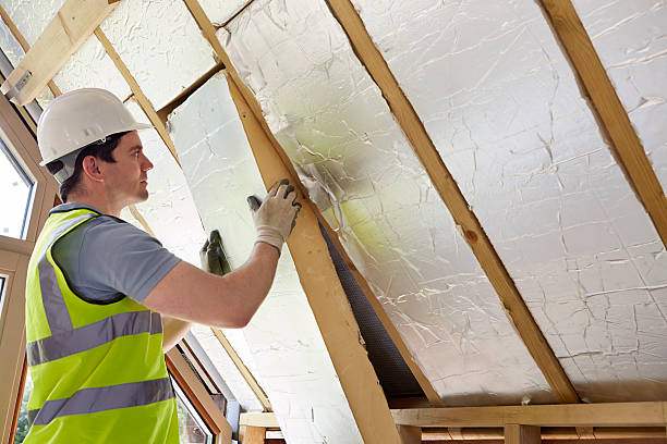 Insulation Replacement Services in Mio, MI