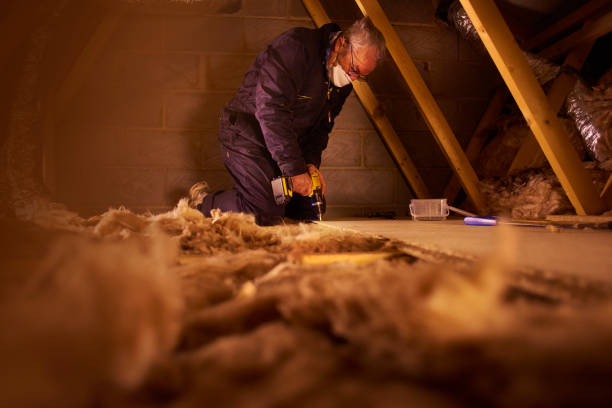 Best Best Insulation Companies  in O, MI